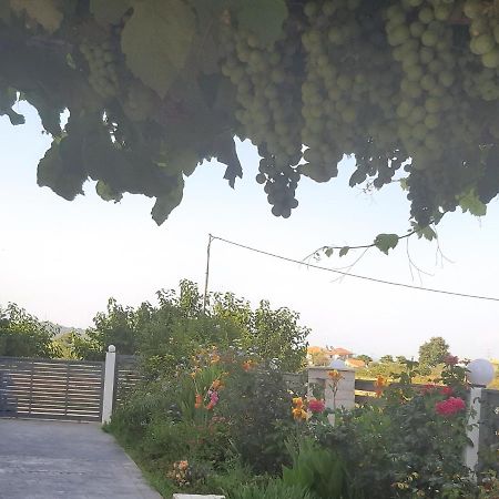 Elsa Home Preveza Exteriér fotografie