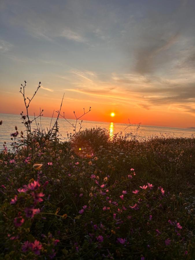 Elsa Home Preveza Exteriér fotografie